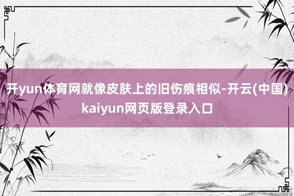 开yun体育网就像皮肤上的旧伤痕相似-开云(中国)kaiyun网页版登录入口
