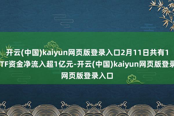 开云(中国)kaiyun网页版登录入口2月11日共有13只ETF资金净流入超1亿元-开云(中国)kaiyun网页版登录入口